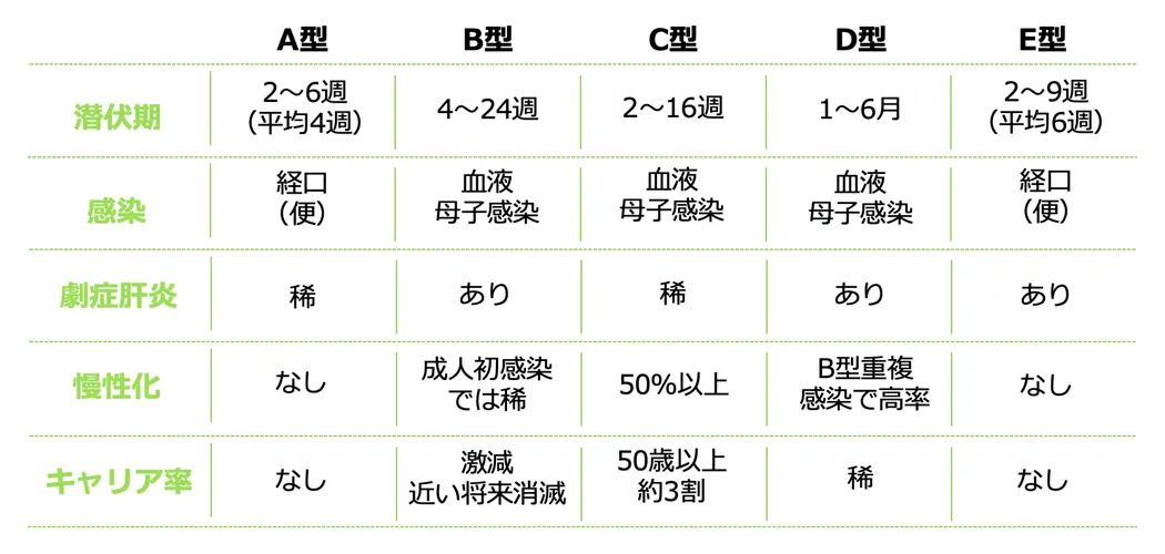 肝炎ウイルス